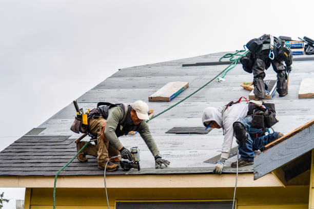 Professional Flat Roof Repair technician working in Hollins, AL